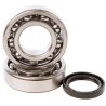 Kit roulements et joints spi de vilebrequin HOT RODS 85 RM 2002 à 2023