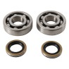 Kit roulements et joints spi de vilebrequin HOT RODS 125 KX 1980 à 1981