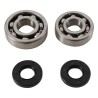 Kit roulements et joints spi de vilebrequin HOT RODS 125 KX 1985 à 1987