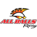 Module de pompe à essence ALL BALLS 47-1007