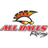 Module de pompe à essence ALL BALLS 47-1001