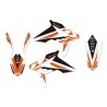 Kit complet BLACKBIRD Dream Graphic 4 Beta RR