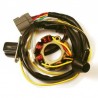 Stator avec bobine d'éclairage ELECTROSPORT 250 KXF 2005 à 2019