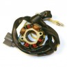 Stator avec bobine d'éclairage ELECTROSPORT 250 KXF 2004