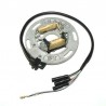 Stator ELECTROSPORT Kawasaki 125 KX 1986 à 1988 / 250 KX 1983 à 1988 / 500 KX 1985 à 1988