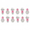 Kit vis de disque de frein complet BOLT BETA RR