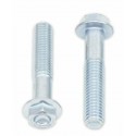 Vis à bride BOLT tête hexagonale 10mm M8x1,25x40mm 10 pièces