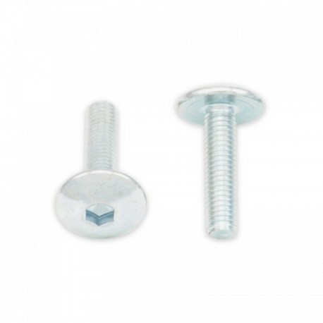 Vis tête bombée plate BOLT M5x0,80x12mm 10 pièces