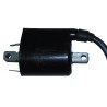 Bobine d'allumage adaptable Externe 12V Adapt.MOTO-SCOOTER Divers