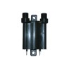 Bobine d'allumage adaptable Honda silverwing 400/600-CBF600