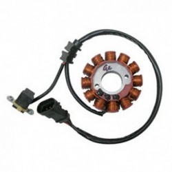 Stator 125 APRILIA RS4 - DERB