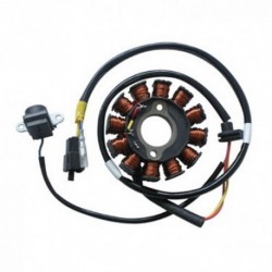 Stator d'allumage 12 Pôles KYMCO PEOPLE S 125/200