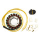 Stator d'allumage HONDA VF1000-VF750C-XL600V