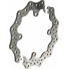 Disque de frein RFX Race pétale fixe
