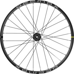 Roue arrière MAVIC Deemax 29 pouces IS XD 12X157