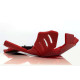 Sabot moteur AXP Xtrem HDPE Rouge Beta 250 RR / 300 RR 20-24