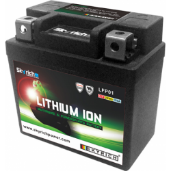 Batterie SKYRICH Lithium LFP01