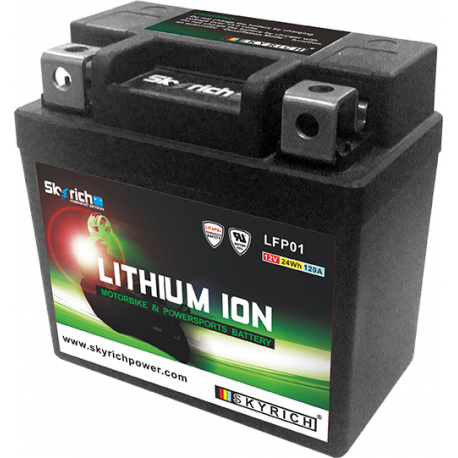 Batterie SKYRICH Lithium LFP01