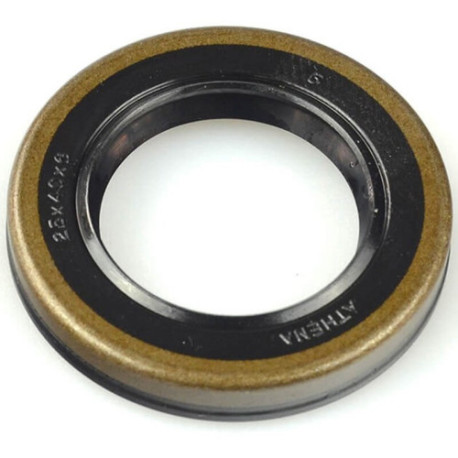 Paire de joints spi de vilebrequin CENTAURO