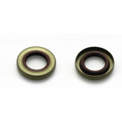 Paire de joints spi de vilebrequin CENTAURO 20 x 35 x 6 mm