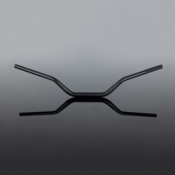 Guidon RENTHAL Street Fatbar 848