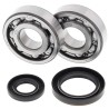 Kit roulements de vilebrequin et joints spy ALL BALLS 250 RM 1989 à 1993