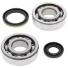 Kit roulements de vilebrequin et joints spy ALL BALLS 250 RM 1994 à 1995