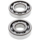 Kit roulements de vilebrequin et joints spy ALL BALLS 125 DR Z / 200 DR Z 1994-