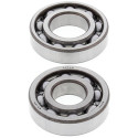 Kit roulements de vilebrequin et joints spy ALL BALLS 125 DR Z / 200 DR Z 1994-