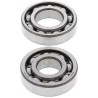 Kit roulements de vilebrequin et joints spy ALL BALLS 125 DR Z / 200 DR Z 1994-