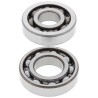 Kit roulements de vilebrequin et joints spy ALL BALLS 150 CRF F 2003 à 2005 / 230 CRF F 2003 à 2019