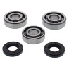 Kit roulements de vilebrequin et joints spy ALL BALLS 65 YZ 2018 à 2025 / 85 YZ 2019 à 2025