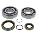 Kit roulements de vilebrequin et joints spy ALL BALLS 250 MR / 300 MR RIEJU 2021 à 2024
