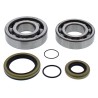 Kit roulements de vilebrequin et joints spy ALL BALLS 250 MR / 300 MR RIEJU 2021 à 2024