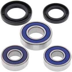 Kit roulements de roue ALL BALLS