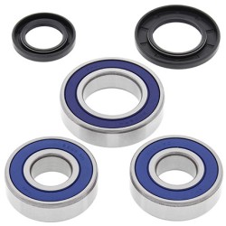 Kit roulements de roue ALL BALLS