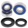 Kit roulements de roue ALL BALLS