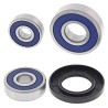 Kit roulements de roue ALL BALLS