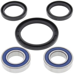 Kit roulements de roue ALL BALLS