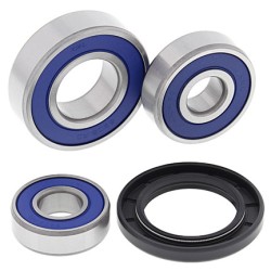 Kit roulements de roue ALL BALLS