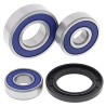 Kit roulements de roue ALL BALLS