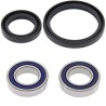 Kit roulements de roue ALL BALLS
