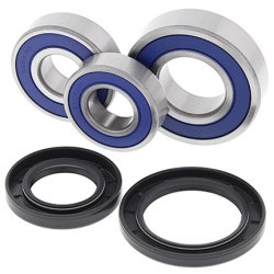 Kit roulements de roue ALL BALLS