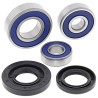 Kit roulements de roue ALL BALLS