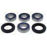 Kit roulements de roue ALL BALLS