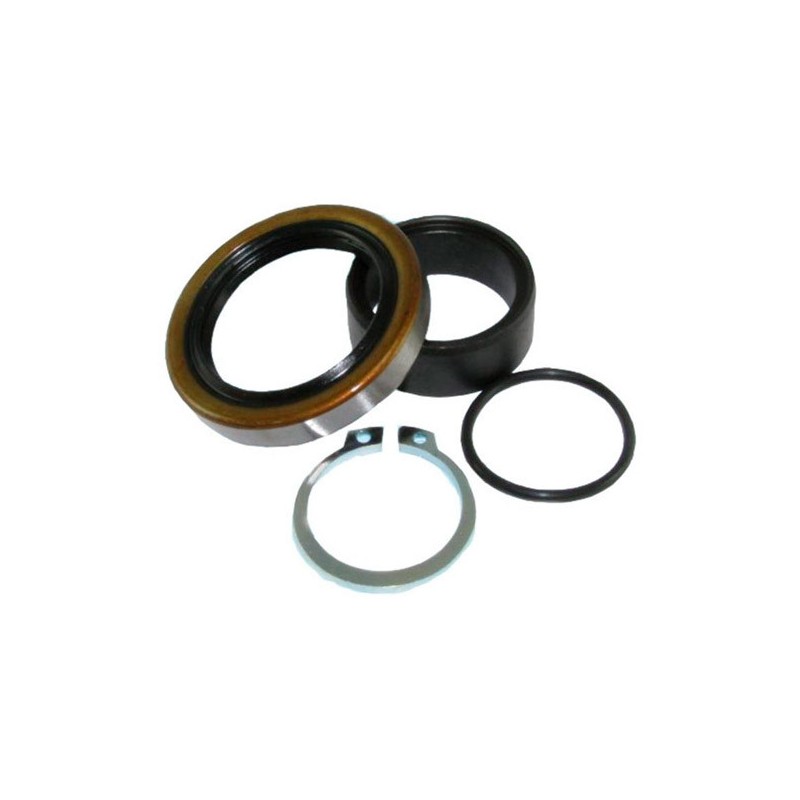 Kit joints spi de fourche et caches poussière ALL BALLS