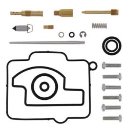 Kit réparation carburateur ALL BALLS 250 YZF 2000