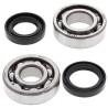 Kit roulements de vilebrequin et joints spi MOOSE 125 YZ 1976 à 1979 / 125 IT 1980 à 1981 / 175 IT 1977 à 1981