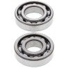 Kit roulements de vilebrequin et joints spi MOOSE 125 DR Z / 200 DR Z 1994-