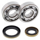 Kit roulements de vilebrequin et joints spi MOOSE 125 EC 2003 à 2011 / 125 MC 2003 à 2009